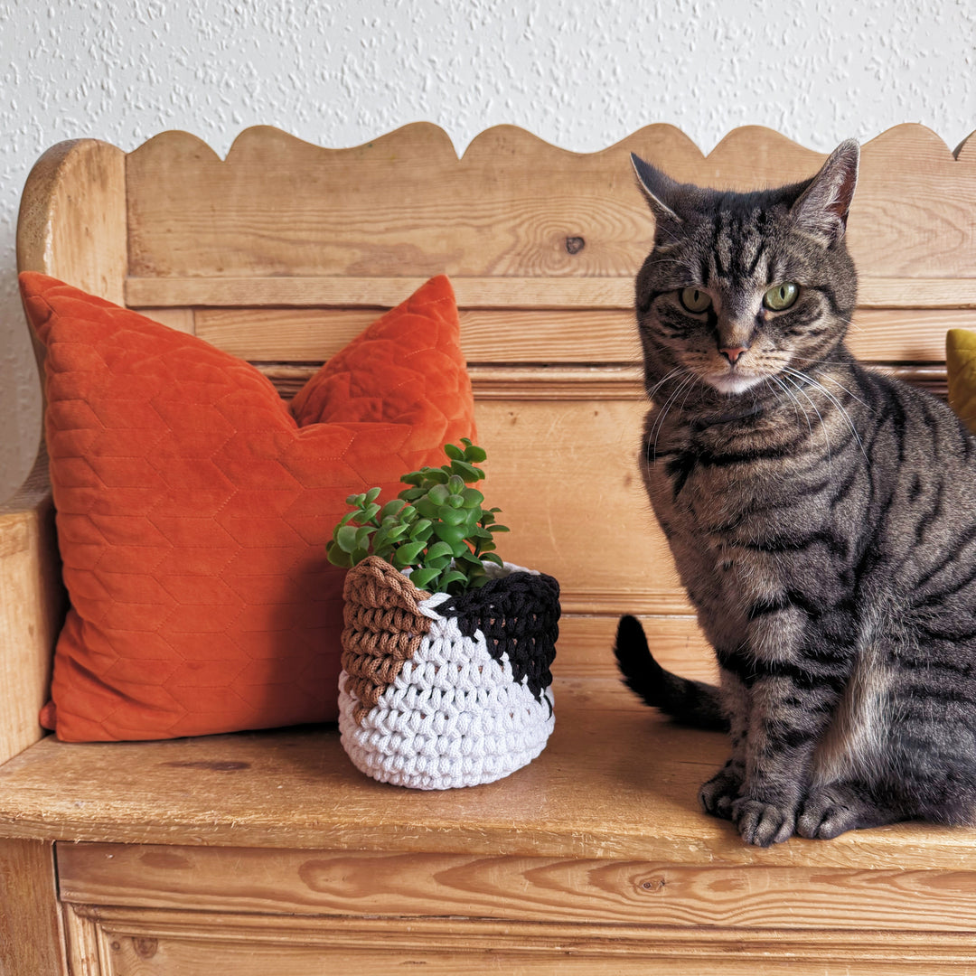 A gray tabby cat sits on a wooden bench next to an orange pillow and a small crocheted cat-shaped planter with a green plant, against a white wall.