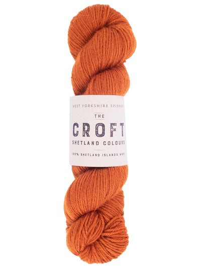 wys_the_croft_dk_challister_skein