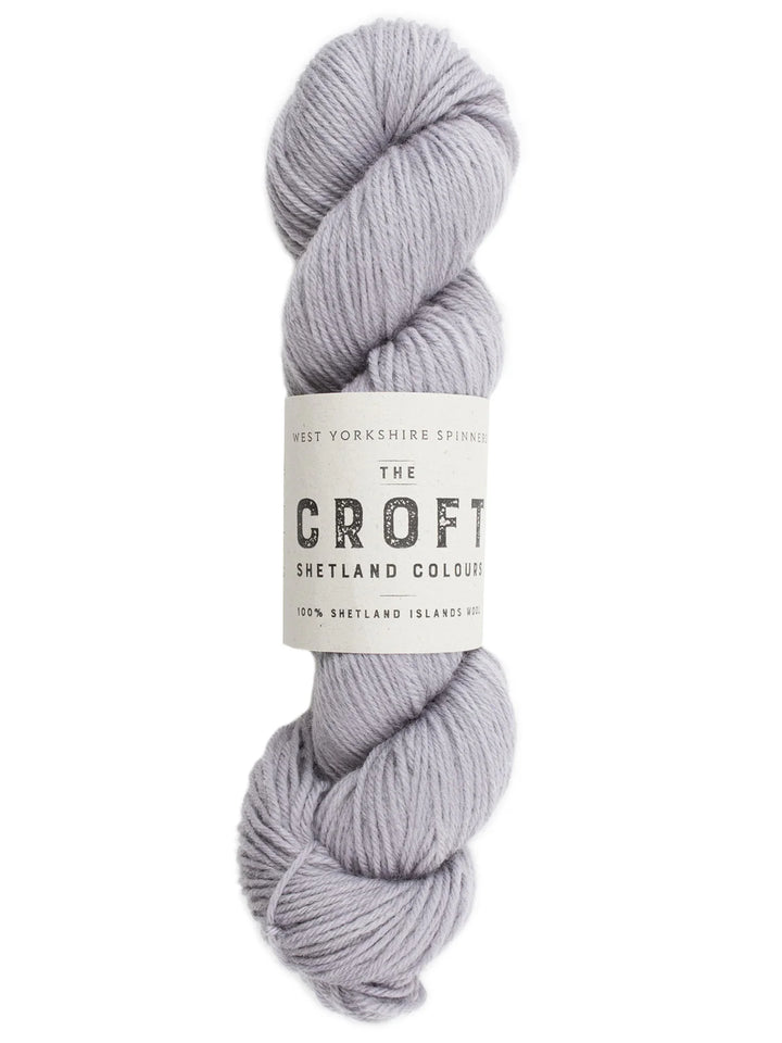 wys_the_croft_dk_clate_skein